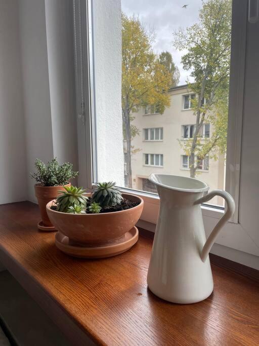 Apartament Cozy, Bright, Comfy Studio Next To The Old Town. *